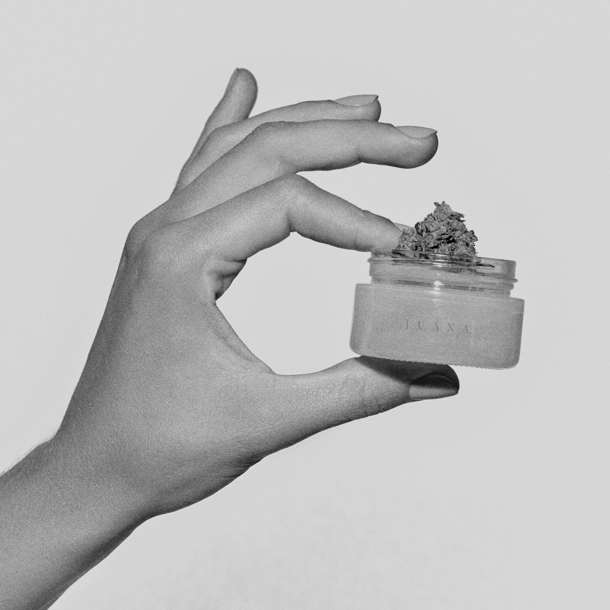 Collection Image