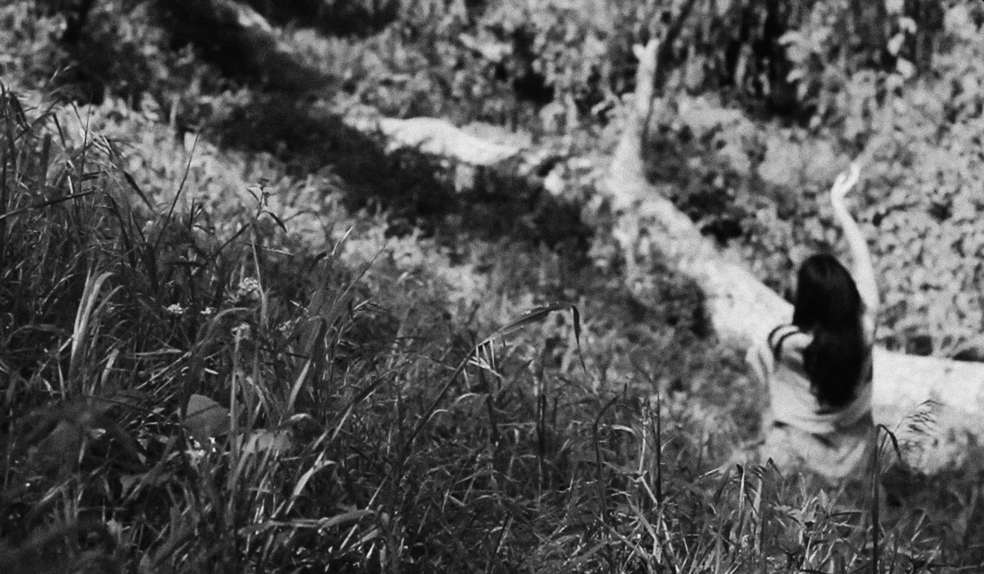 Roots, Resilience, and Renewal with Sar Artoonian