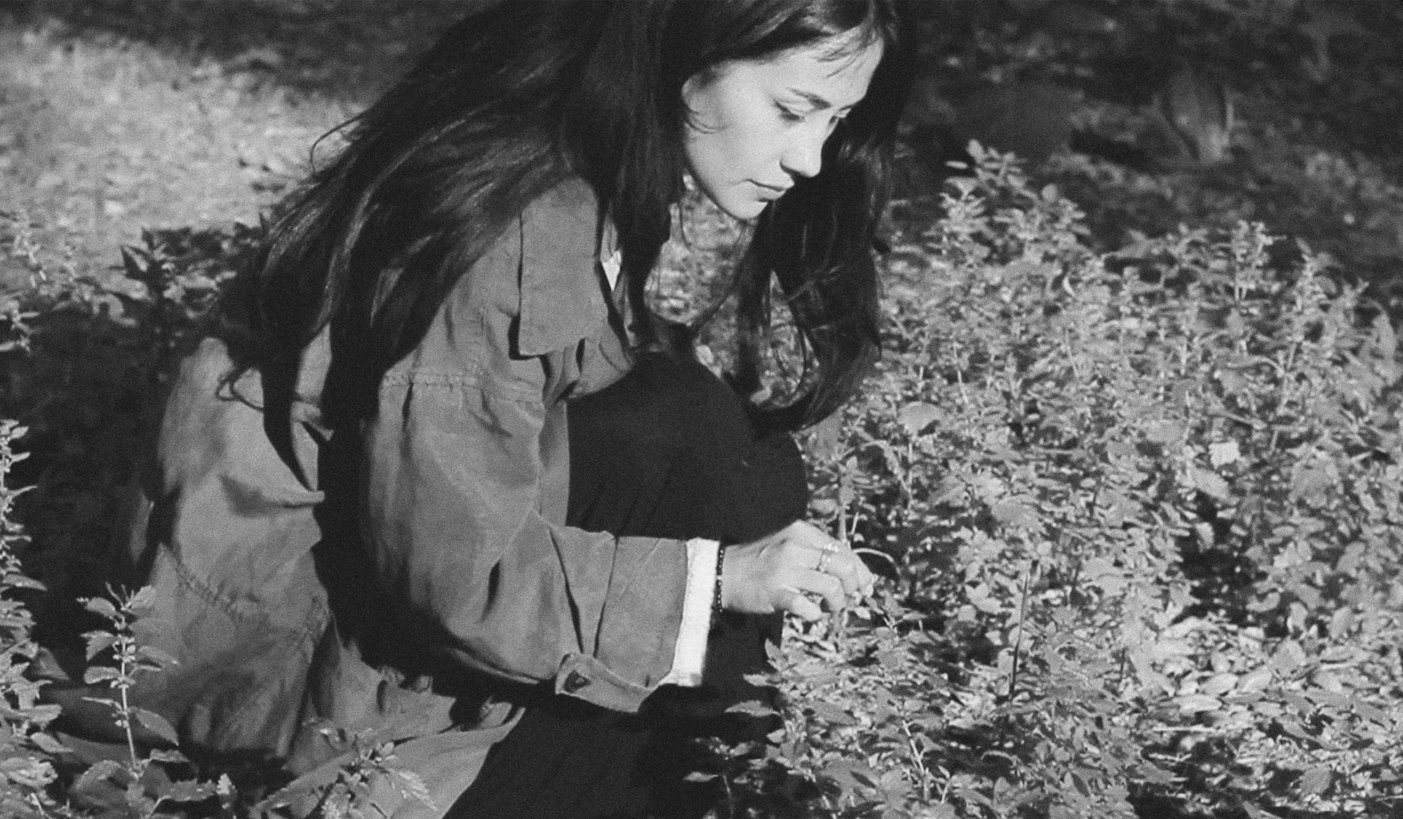 Hemp, Heritage, and Healing with Andrea Jimenez