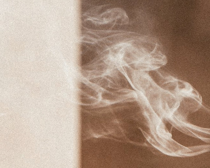 Is Cannabis the Same as Marijuana? 