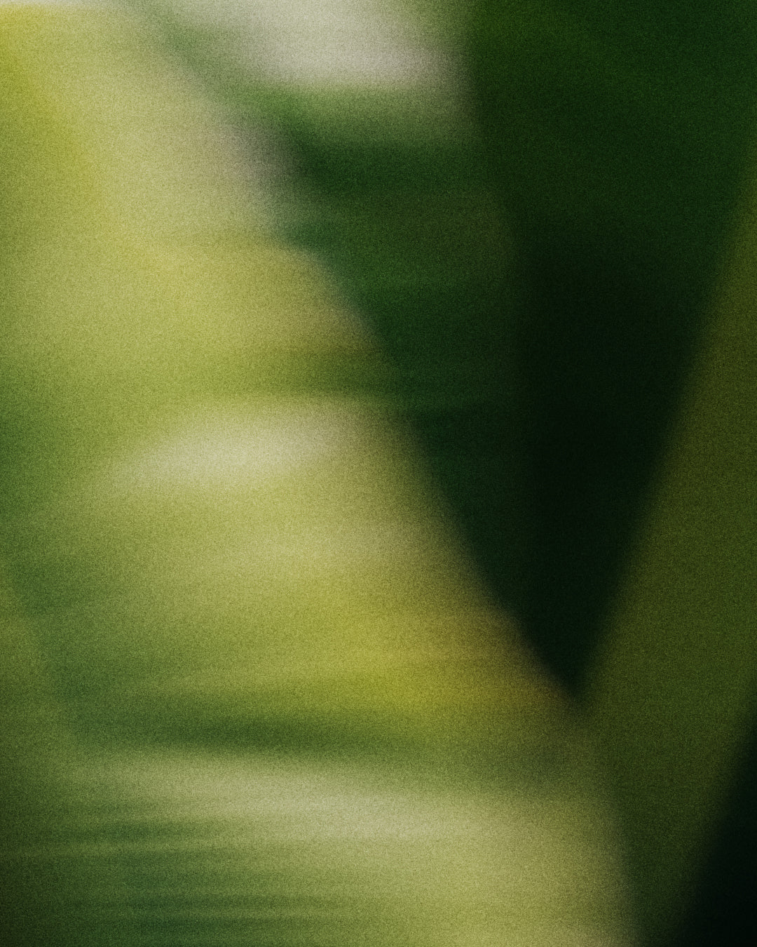 What is THC?