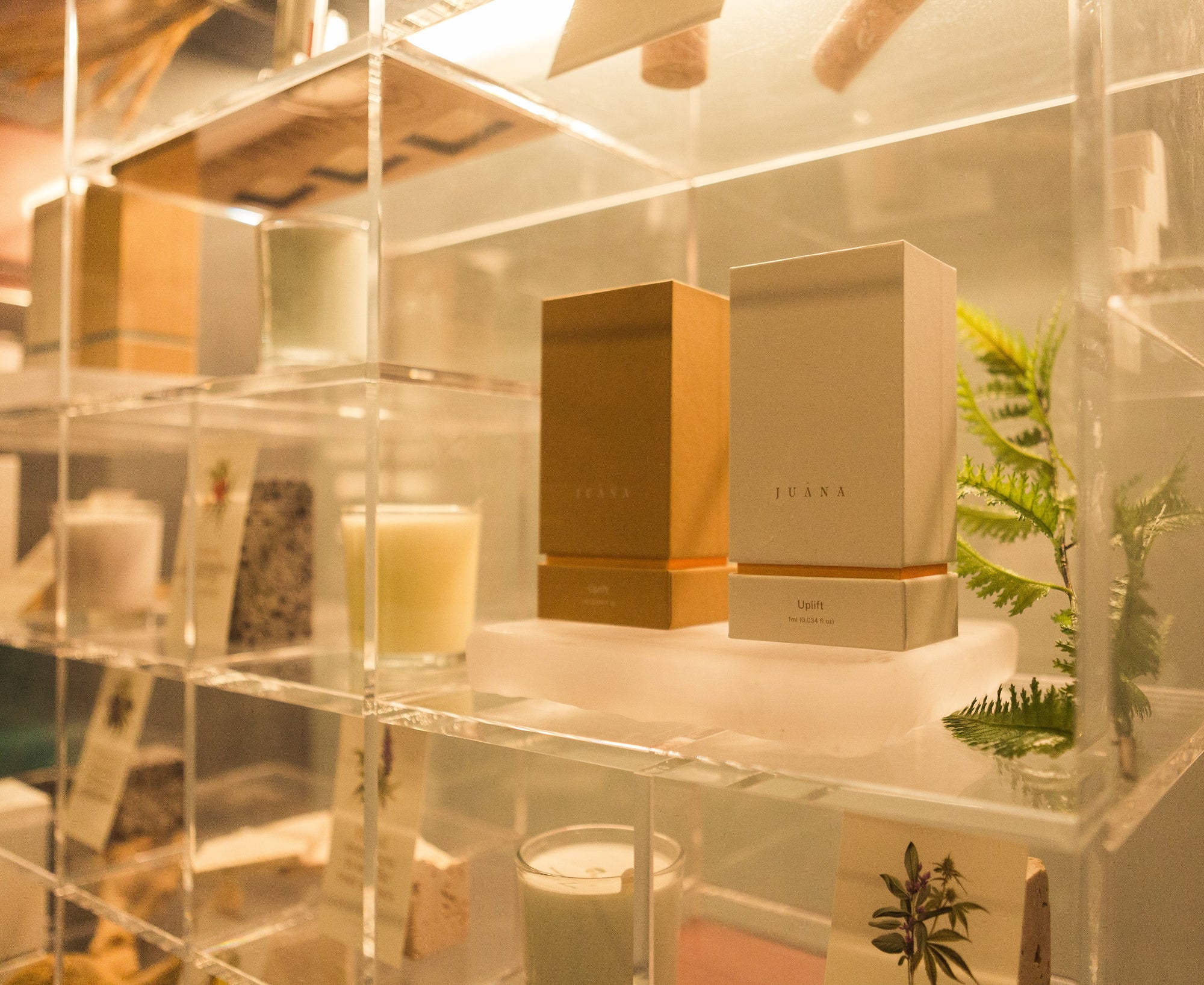All Products