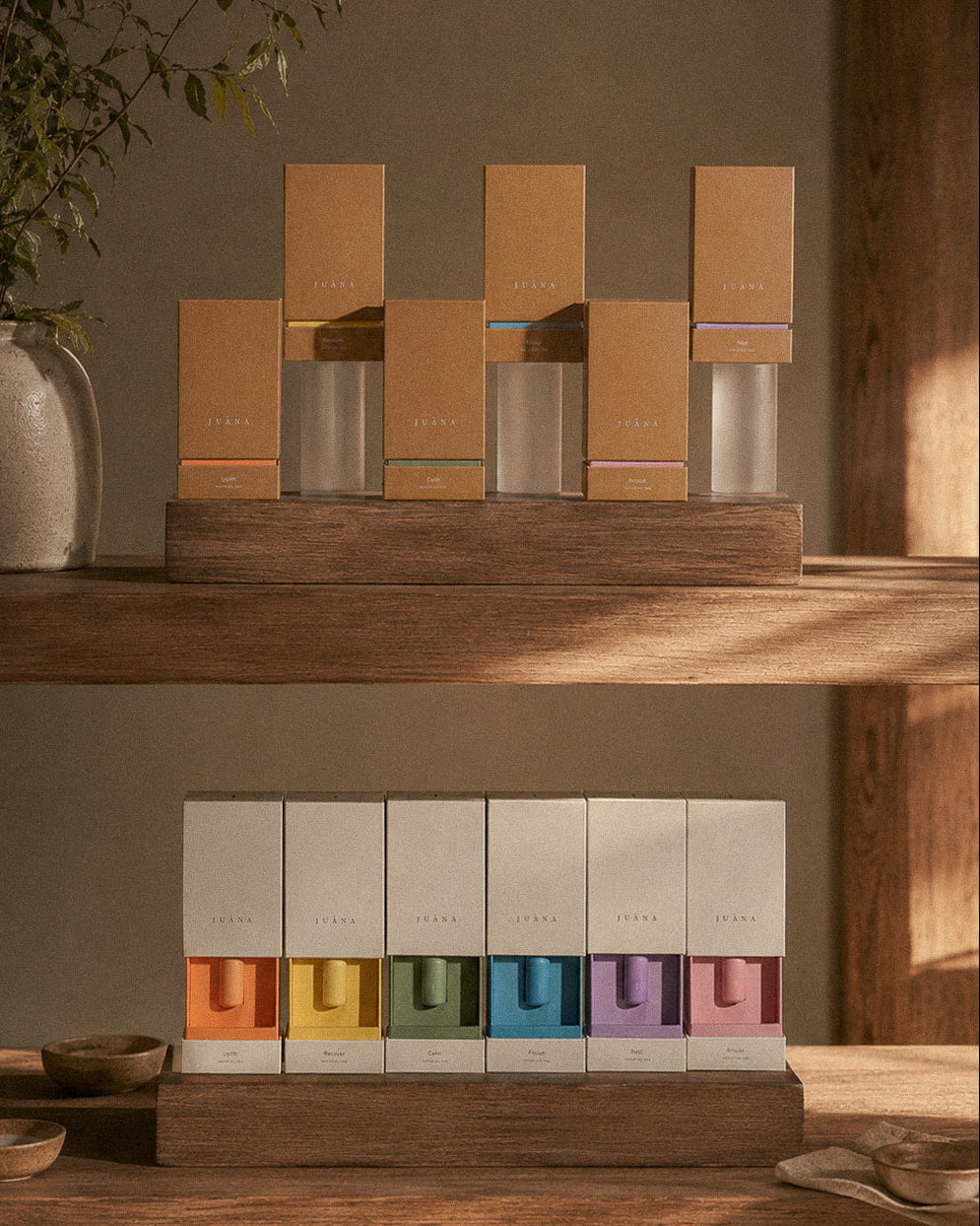Collection Image