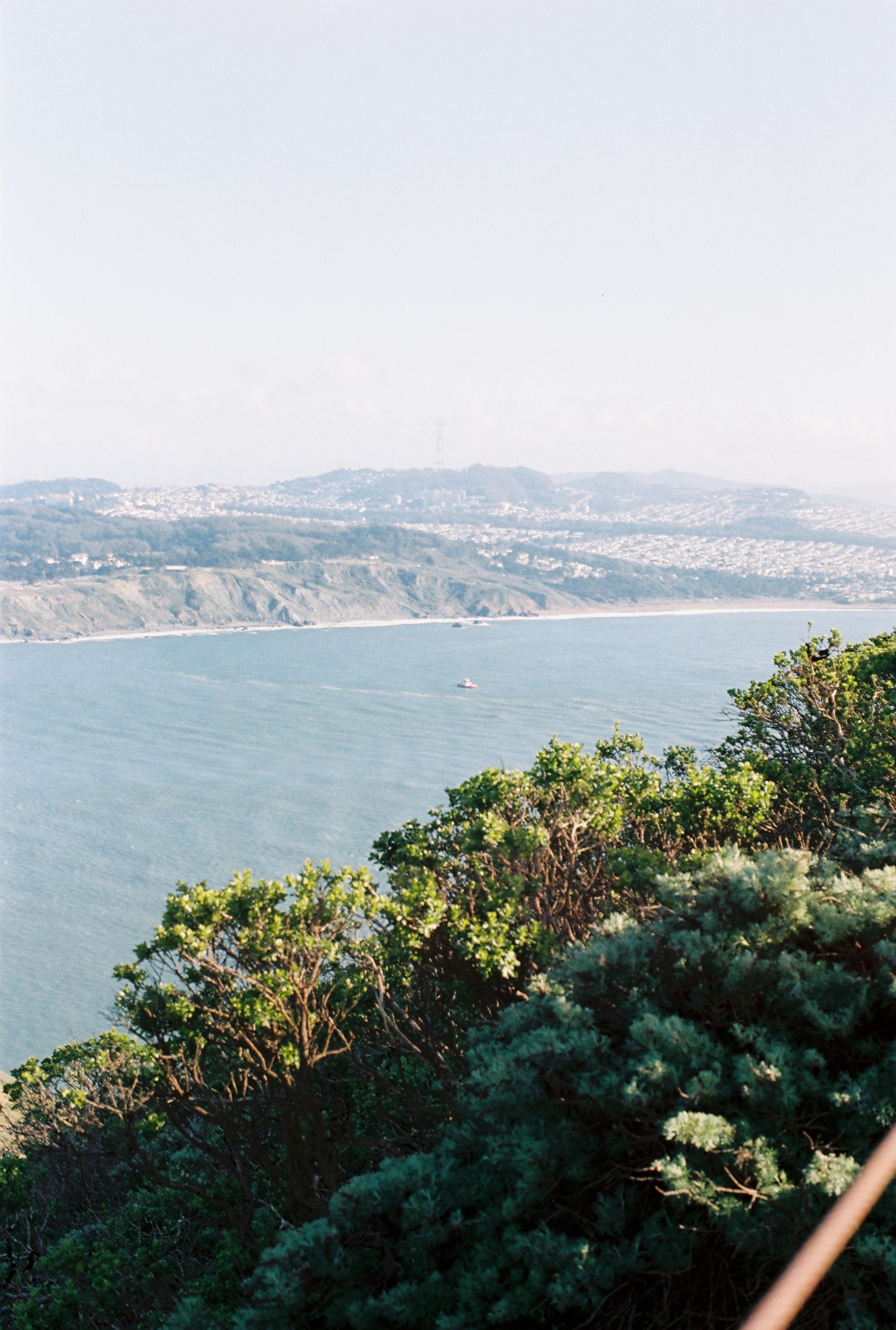 Matcha and a Mile in Los Angeles